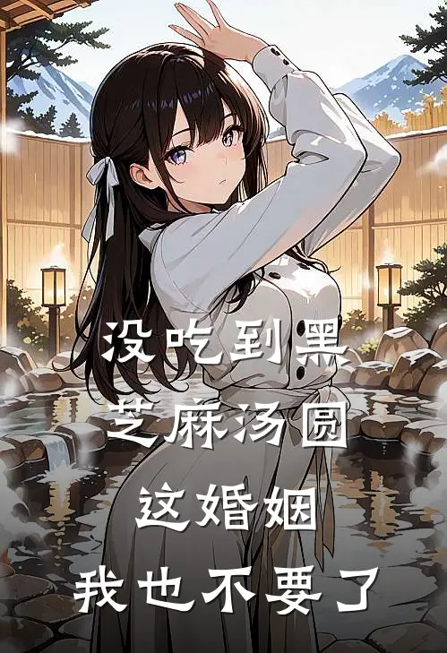 没吃到黑芝麻汤圆，这婚姻，我也不要了(楚海宁楚辰)完结版小说_最新全本小说没吃到黑芝麻汤圆，这婚姻，我也不要了楚海宁楚辰